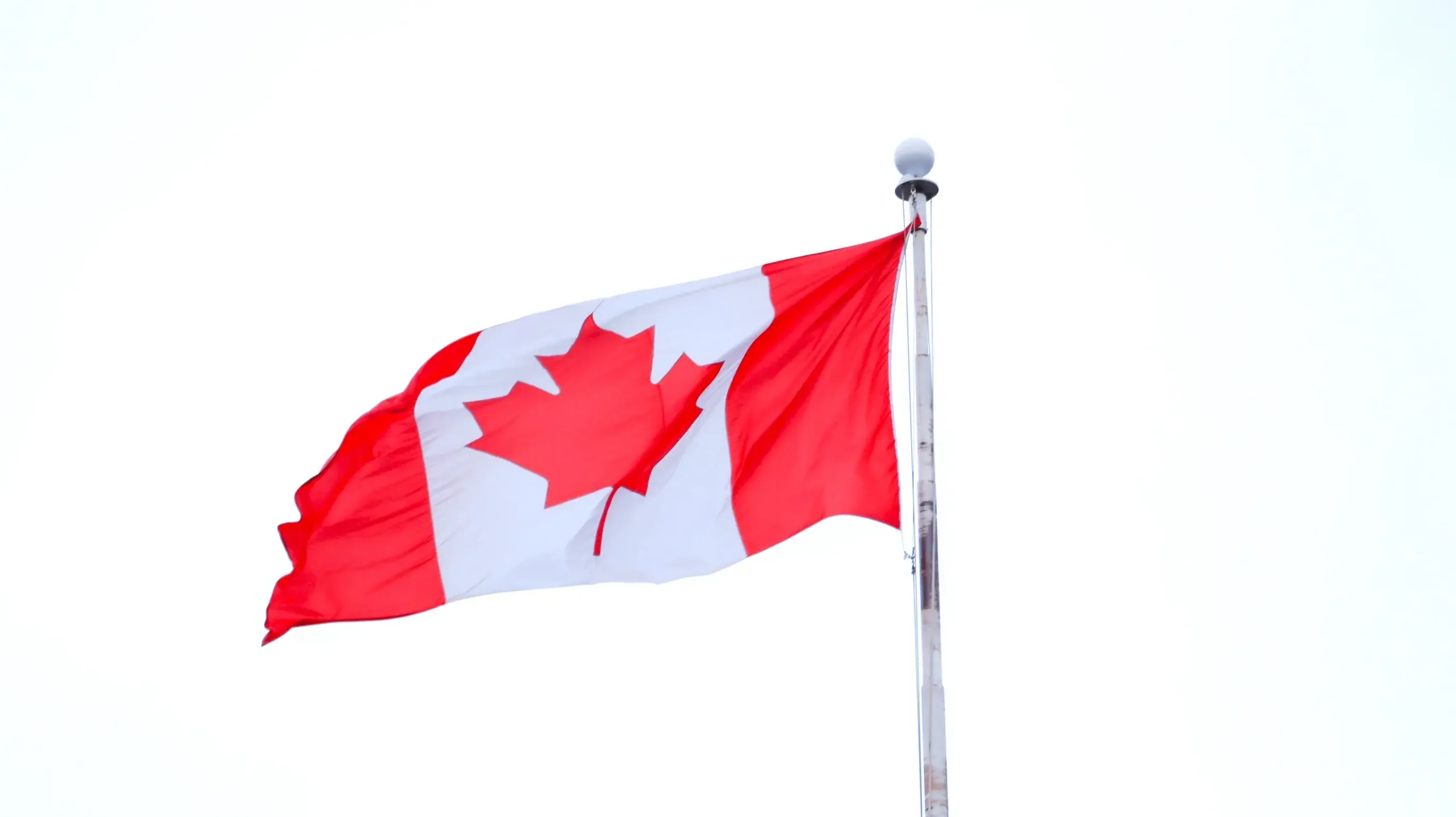 風になびくカナダの国旗の画像