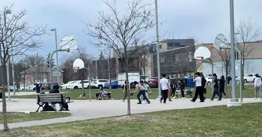 公園で沢山の人がバスケットボールを楽しんでいる画像。とても晴れていてすがすがしい